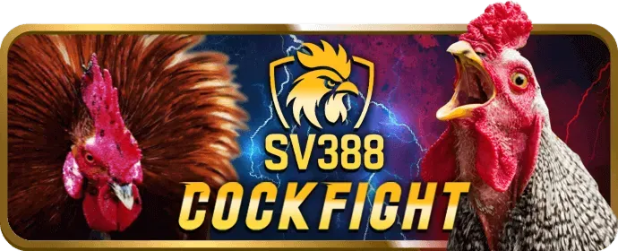Đá gà trực tiếp f8best